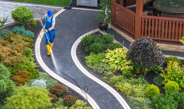 Best Exterior Home Cleaning  in Pine Level, NC