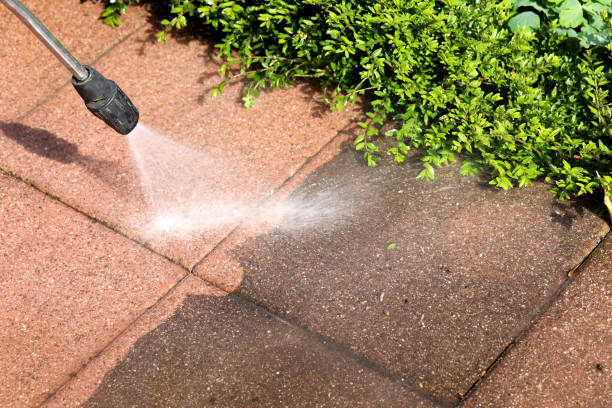 Best Residential Pressure Washing Services  in Pine Level, NC